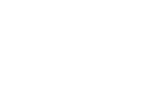 SAE logo reversed